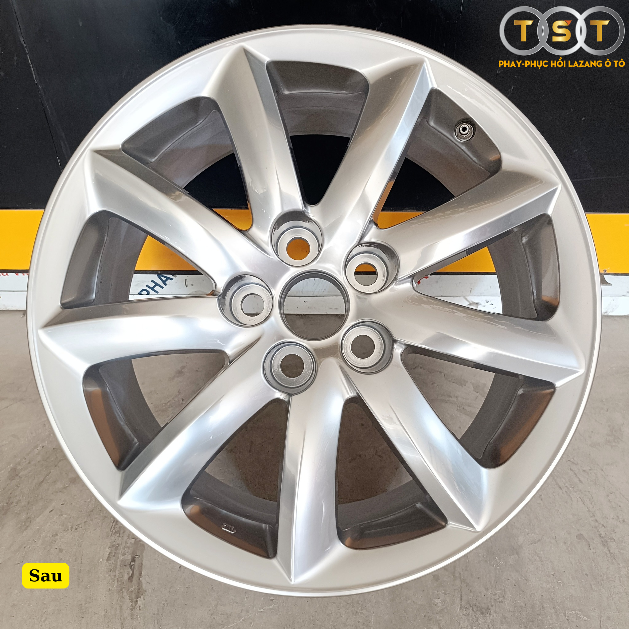 Sơn Lazang Lexus LS460 - Titan Ánh Thép