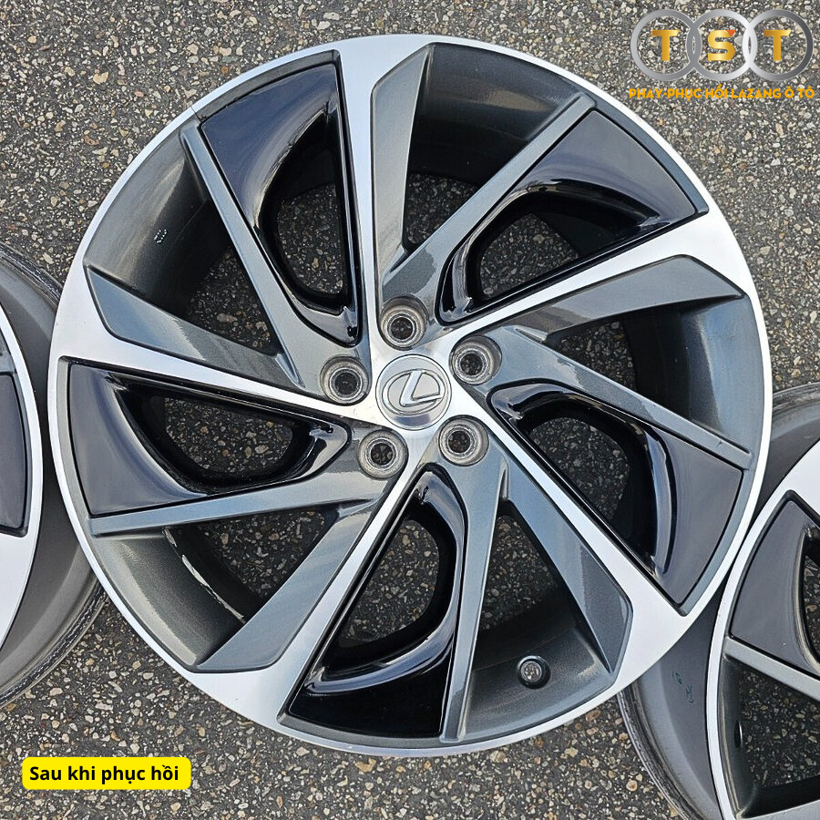 Phay Lazang Lexus RX (RX350-RX450-RX400) - 20 Inch