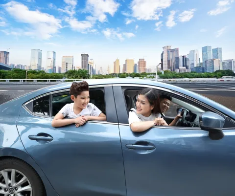 Lãi Suất Cố Định – Thả Nổi Khi Vay Mua Ô Tô: Đâu Là Lựa Chọn Khôn Ngoan Nhất?