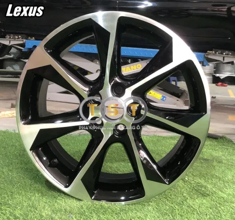 Phay Lazang Lexus RX350/RX450H (2010-2012) - 19 Inch